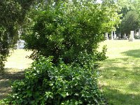 1-27 Helyszínen nem azonosítható